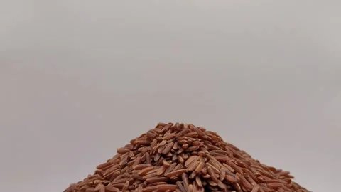 Little portion of raw, red rice. Stock Footage 288507424