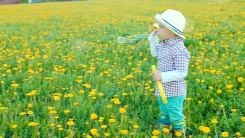 Little pretty boy is blowing bubbles at flowering field Stock Footage 79464976