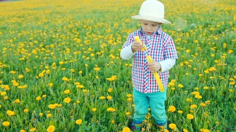 Little pretty boy is blowing bubbles at flowering field Stock Footage 79465403