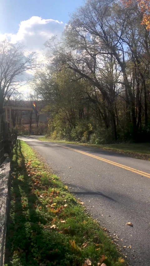 Little pride flag flies on a quiet sunny country road with tall trees Stock Footage 149908082