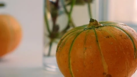 Little pumpkins by the window. Slow Motion. Stock Footage 210174881