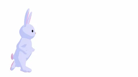 Little rabbit 動画素材 973357