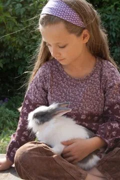 Little rabbit Stock Photos