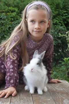 Little rabbit Stock Photos