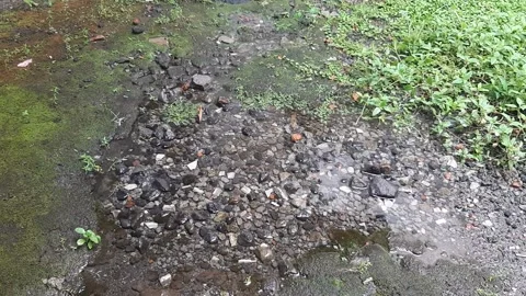 Little Rain Stock Footage 237157760