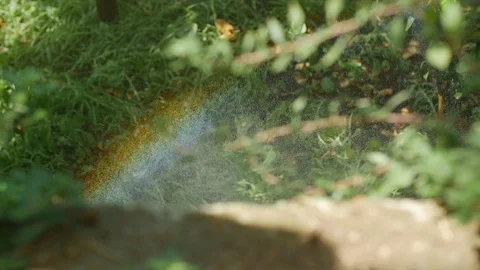 Little rainbow in the forest Stock Footage 119605252