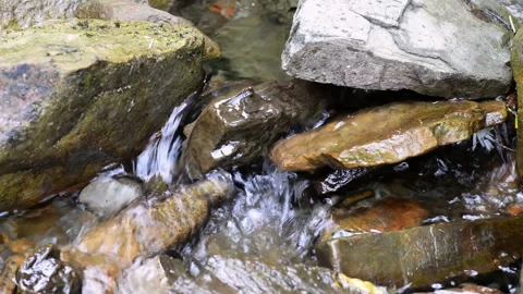 Little rapids on a mountain stream Stock Footage 100266575