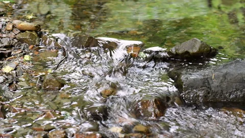 Little rapids on a mountain stream Stock Footage 100267455