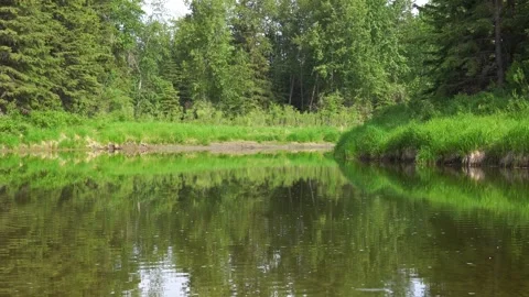 Little Red Deer River 4k scenic footage Stock Footage 243109723