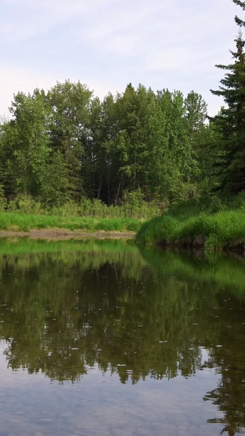 Little Red Deer River 4k scenic footage Stock Footage 243109731