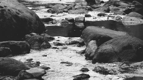 A little river flows in timelapse among chaotic stones and boulders. grayscale. Stock Footage 68351429