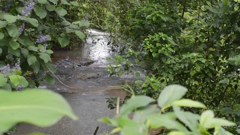 Little river Stock Footage 99117281