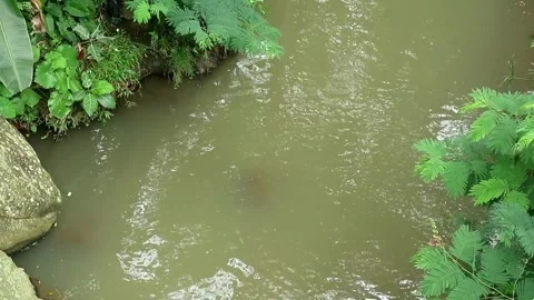 Little River Stock-Footage 331574432