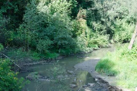 Little river in the park in summer Stock Photos