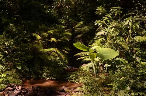 Little river Stock Photos