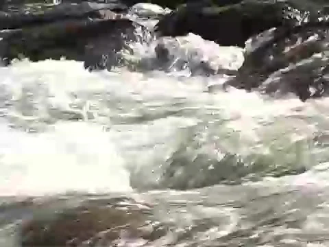 Little river Rapids with pull Stock Footage 378124