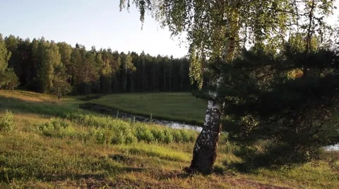Little river in russian forest Stock Footage 66142367