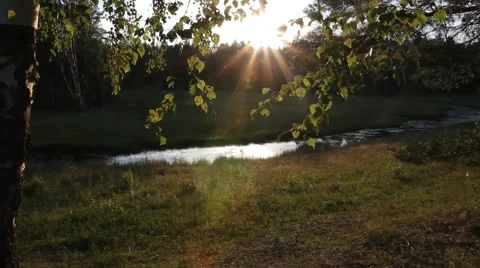 Little river in russian forest Stock Footage 66144182