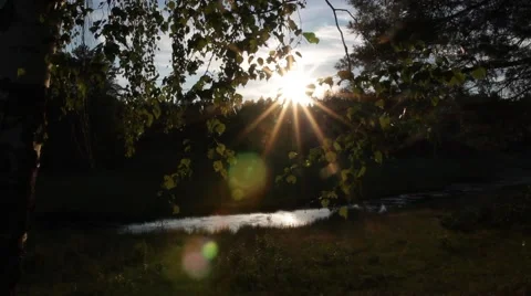 Little river in russian forest Stock Footage 66144762