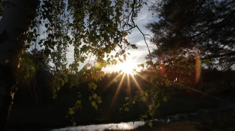 Little river in russian forest Stock Footage 66145331