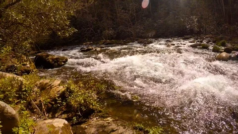 The Little River at Townsend Stock Footage 89585576