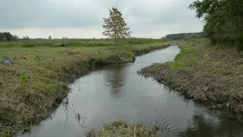 The little river Uherka in eastern Poland Stock Footage 167169668
