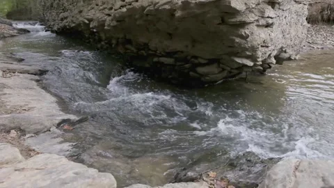 Little rivers divergent through Olde Rope Mill Park ending close up Video stock 145682115