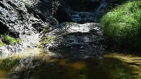 A little rivulet flows into a pool in the mountains (slow motion) Stock Footage 219647271