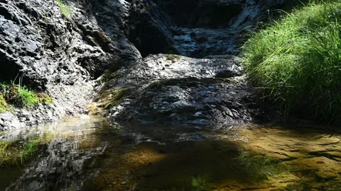 A little rivulet flows into a pool in the mountains Video stock 219647272