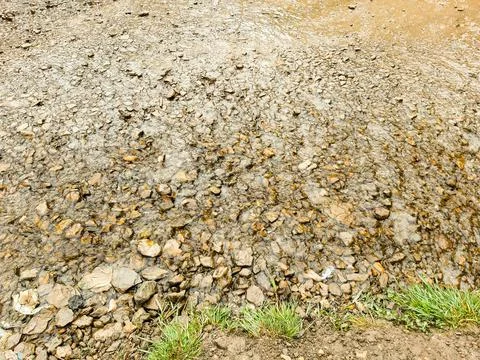 Little Rocks on River Bed 스톡 사진