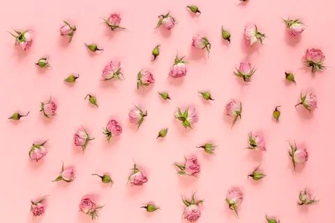 Little roses pattern on a pink background. Flat lay, top view. Stock Photos