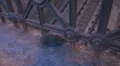 A little scared hedgehog wild small animal run alley urban habitat night HD Footage