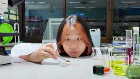 Little scientists analyze the composition of a stone or rock sample Stock-Footage 276174436