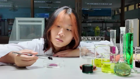 Little scientists analyze the composition of a stone Stock Footage 276699775