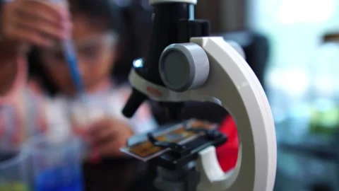 Little scientists are learning happily and interestingly Stock Footage 221179137