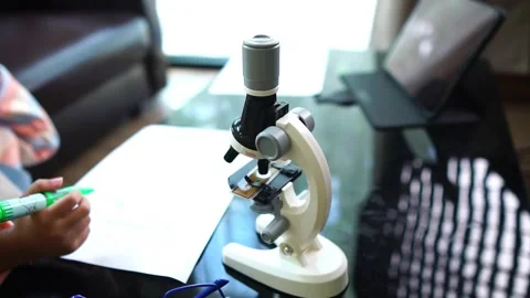 Little scientists are learning happily and interestingly Stock Footage 221179945