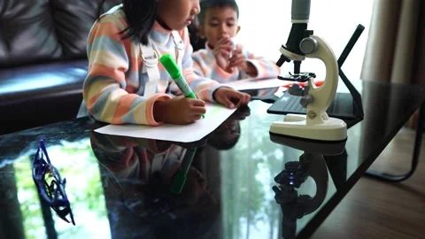 Little scientists are learning happily and interestingly Stock Footage 221180037