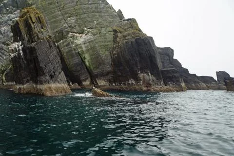 Little Skellig  Worlds second largest gannet colony Stock Photos