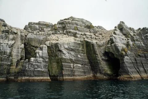 Little Skellig  Worlds second largest gannet colony Stock Photos