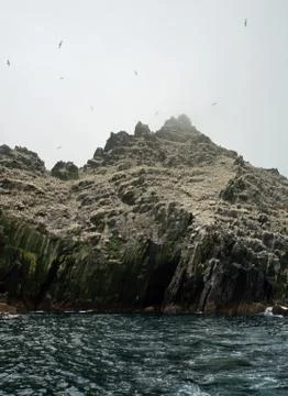 Little Skellig  Worlds second largest gannet colony Stock Photos