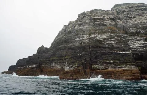 Little Skellig  Worlds second largest gannet colony Stock Photos