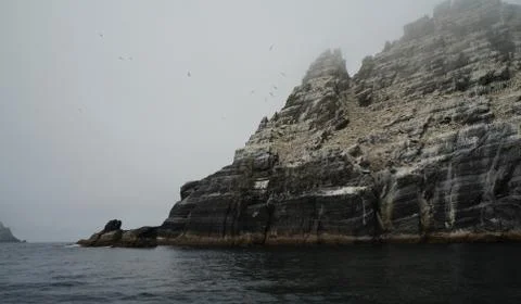 Little Skellig  Worlds second largest gannet colony Stock Photos
