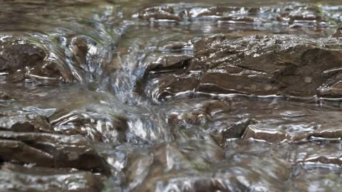 Little stream close-up, water flows over stones Stock Footage 141425520