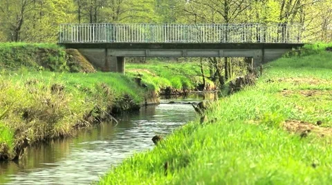 Little stream crossing green grass. Stockbeeldmateriaal 62812631