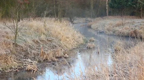 Little stream in early spring. Vídeos de archivo 61846193