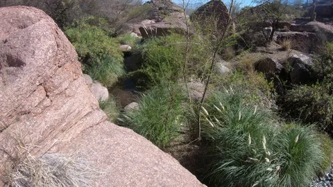 Little stream falling between eroded old stones surrounded by vegetation Vidéo 103405654
