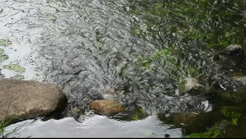 Little stream. Stock Footage 11360079