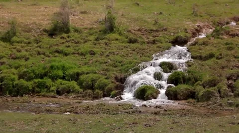 Little Stream Stock Footage 48632176