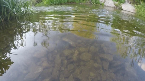 A little stream Stock Footage 89907883