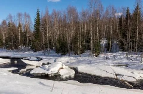 Little stream in the forest with the ice breaking up Stock Photos